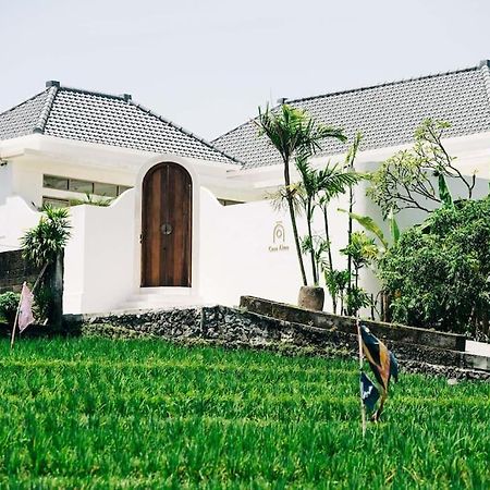 New Design Villa Casa Alma 3Bdr With Private Pool, Canggu Kültér fotó