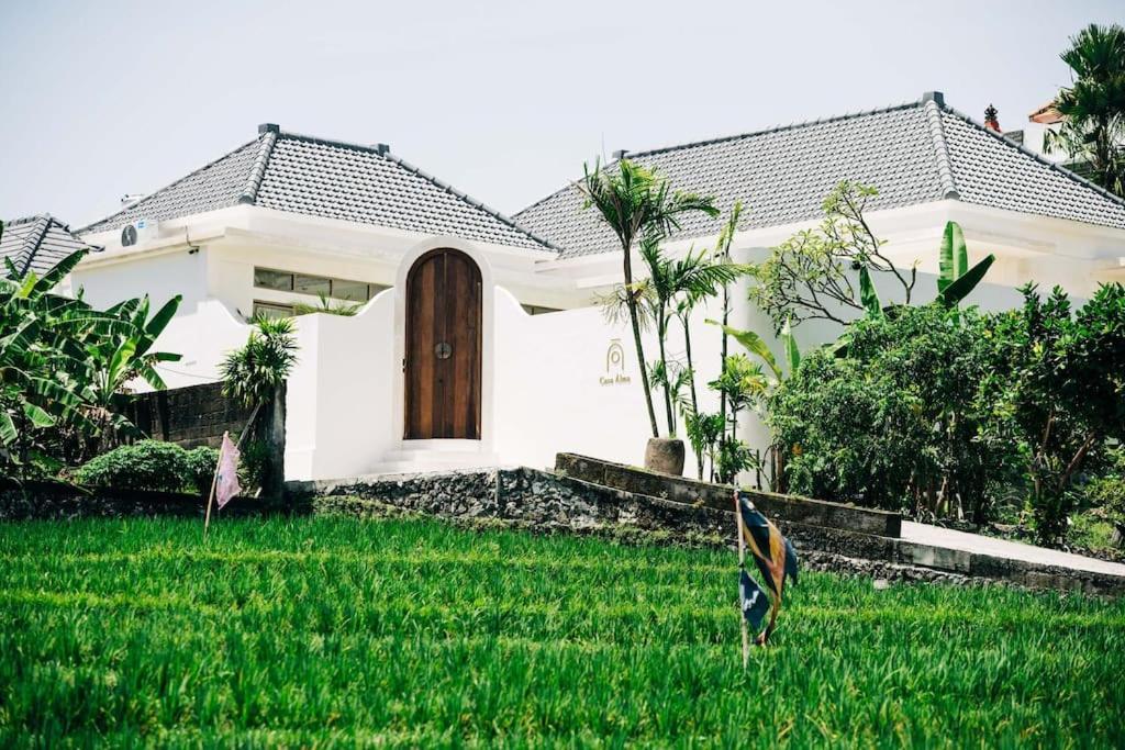 New Design Villa Casa Alma 3Bdr With Private Pool, Canggu Kültér fotó